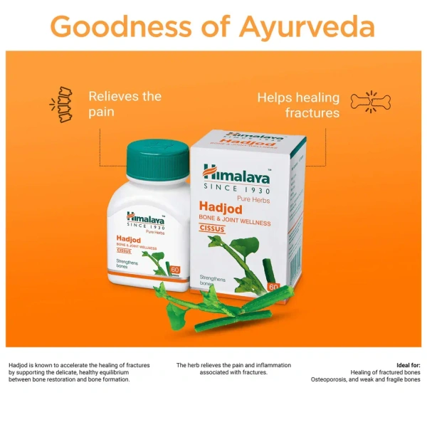 HIMALAYA DRUGS Hadjod Tablet - Himalaya - 60Tablets
