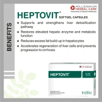 MILLENNIUM HERBALS Heptovit Capsule - Millennium - 10Capsules