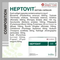 MILLENNIUM HERBALS Heptovit Capsule - Millennium - 10Capsules