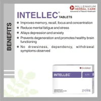 MILLENNIUM HERBALS Intellec Capsule - Millennium  - 10Capsules