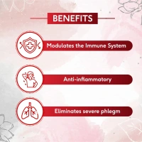 SRI SRI AYURVEDA Kabasura Kudineer Tablet - Sri Sri - 60 Tablets