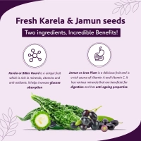 SRI SRI AYURVEDA Karela Jamun Juice - Sri Sri - 500Ml