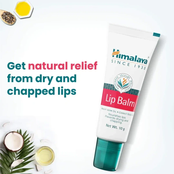 HIMALAYA PHARMACY Lip Balm - Himalaya - 10g