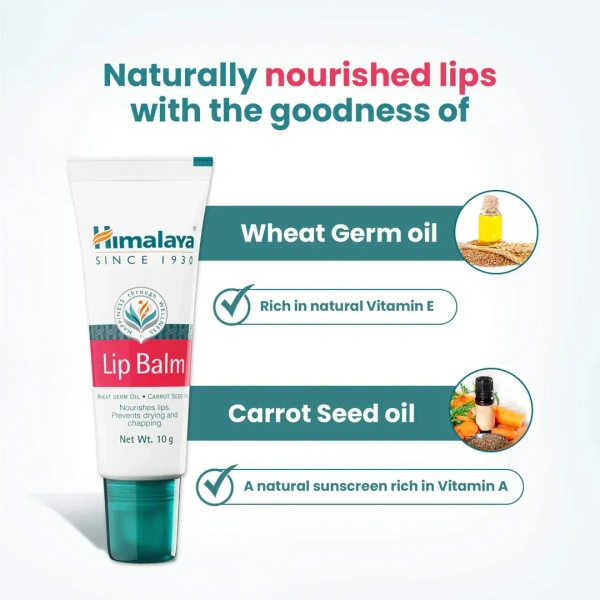 HIMALAYA PHARMACY Lip Balm - Himalaya - 10g