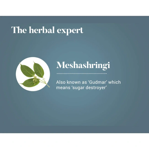HIMALAYA DRUGS Meshashrngi Tablet - Himalaya - 60Tablet