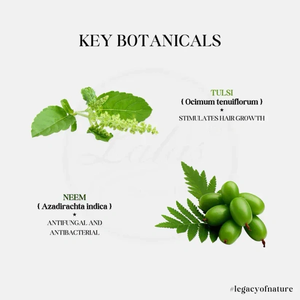 LALA DAWASAZ PVT LTD Neem & Tulsi Shampoo - Lalas - 500ml