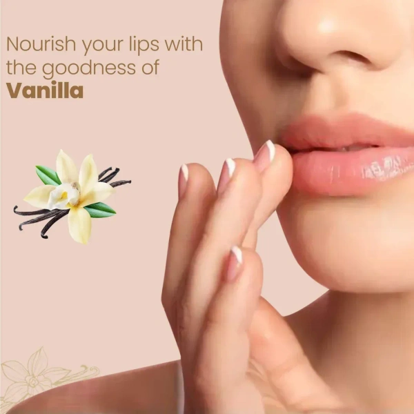 HIMALAYA PHARMACY Natural Soft Vanilla Lip Care - Himalaya - 4.5g