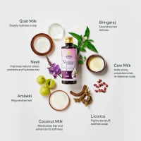 Kerala Ayurveda Neelibringadi Tail 200Ml- Kerala  - 200ml