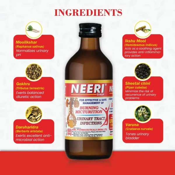 AIMIL PHARMACEUTICAL Neeri Syrup - Aimil  - 200Ml