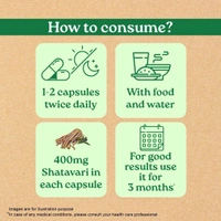 ORGANIC INDIA Shatavari Capsule - Organic - 60Capsule