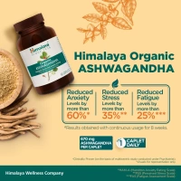 HIMALAYA DRUGS Organic Ashwagandha - Himalaya - 60Tablet