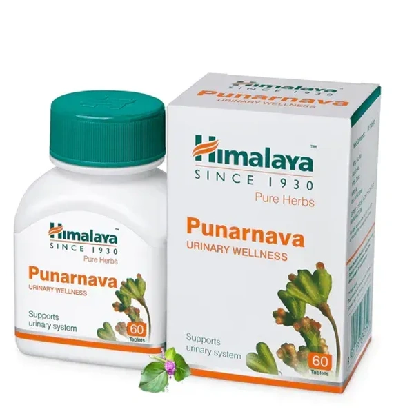 HIMALAYA DRUGS Punarnava Tablet - Himalaya - 60Tablet