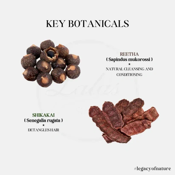 LALA DAWASAZ PVT LTD Reetha Shikakai Shampoo - Lalas - 250Ml