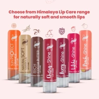 HIMALAYA PHARMACY Strawberry Shine Lip Care - Himalaya - 4.5g