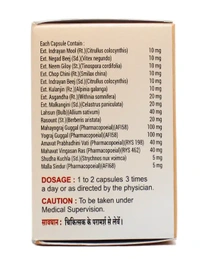 AJMERA Ayural Capsule - Ajmera - 60 Capsule