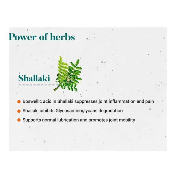 HIMALAYA DRUGS Shallaki Tablet - Himalaya - 60Tablet