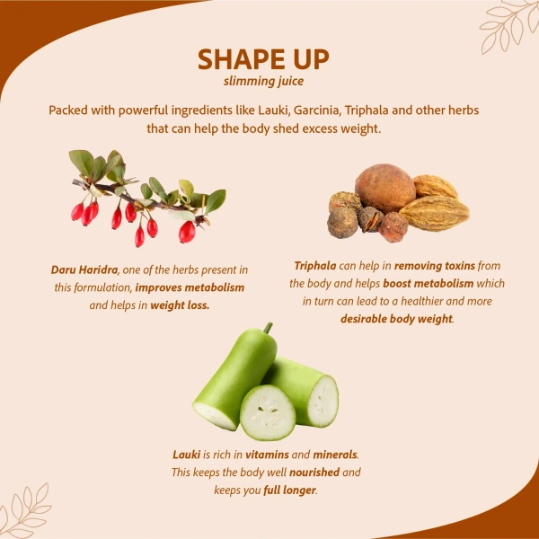 SRI SRI AYURVEDA Shape Up Slimming Juice - Sri Sri - 1L