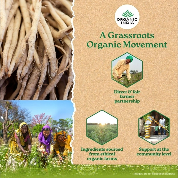 ORGANIC INDIA Shatavari Capsule - Organic - 60Capsule