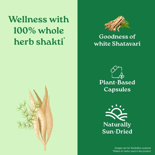 ORGANIC INDIA Shatavari Capsule - Organic - 60Capsule