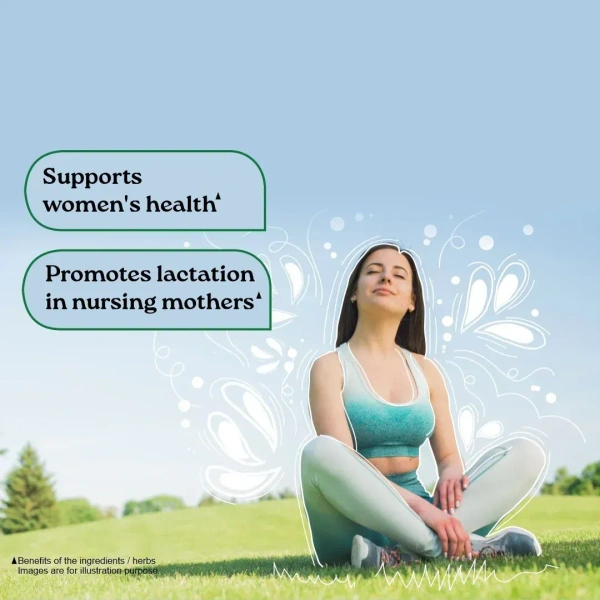 ORGANIC INDIA Shatavari Capsule - Organic - 60Capsule