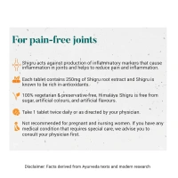 HIMALAYA DRUGS Shigru Tablet - Himalaya - 60Tablet