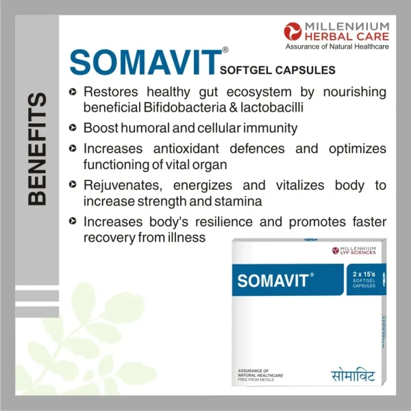 MILLENNIUM HERBALS Somavit Capsule - Millennium - 10Capsules