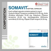 MILLENNIUM HERBALS Somavit Capsule - Millennium - 10Capsules