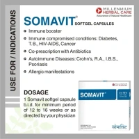 MILLENNIUM HERBALS Somavit Capsule - Millennium - 10Capsules
