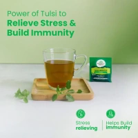 ORGANIC INDIA Tulsi Green Tea Classic  - Organic - 25Bags