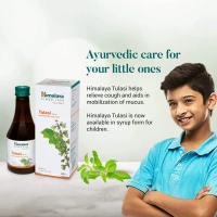 HIMALAYA DRUGS Tulasi Tablet - Himalaya - 60Tablet