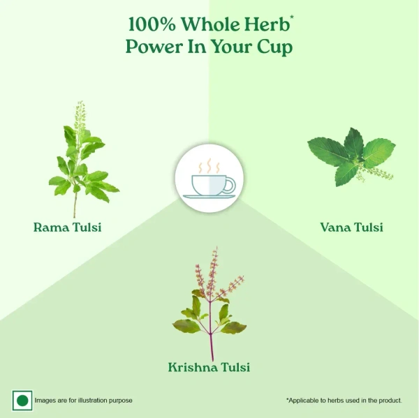 ORGANIC INDIA Tulsi Original - Organic - 25 Bags