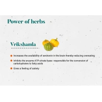 HIMALAYA DRUGS Vrikshamla Tablet - Himalaya - 60Tablet