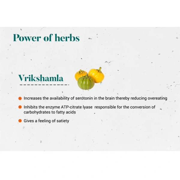 HIMALAYA DRUGS Vrikshamla Tablet - Himalaya - 60Tablet