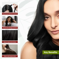 SRI SRI AYURVEDA Henna Shikakai Shampoo - Sri Sri - 200Ml