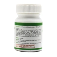 UNJHA Navajivan Rasa - Unjha - 80 Tablets