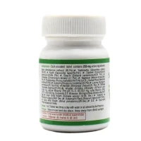 UNJHA Sarivadi Vati - Unjha - 80 Tablets