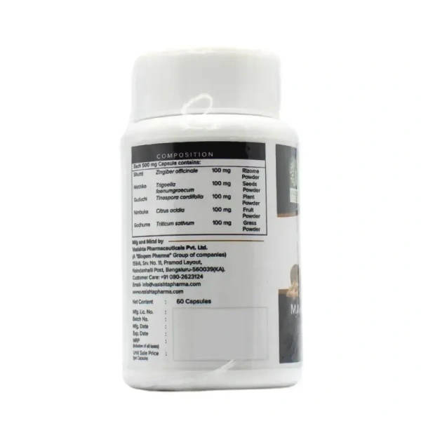 VASISHTA PHARMA Mahagni Capsule - Vasishta - 60 Capsules