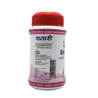 SANDU BROTHERS Shatari Granules - Sandu  - 200Gm