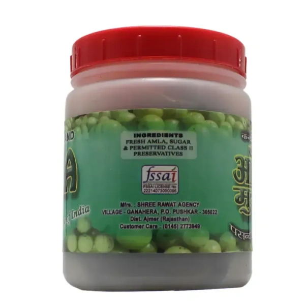 SMARTECH.COM Amla Murabba - Smartec - 500Gm