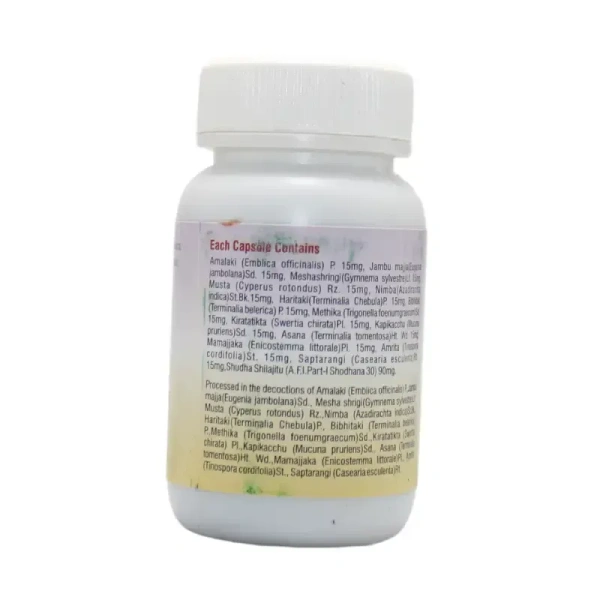 PAVAMAN Madhusudan Capsule - Pavaman - 100 Capsule