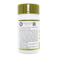 SHREE DHOOTAPAPESHWAR Avipattikar Choorna - Shree Dhootpapeshwar - 60Gm