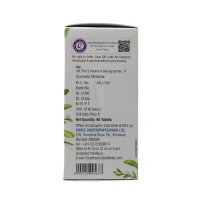 SHREE DHOOTAPAPESHWAR Brahmi Tablet - Dhothapapeshwar - 60 Tablets