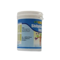 VYAS PHARMACEUTICALS Shitpittantak Vati - Vyas  - 100 Tablets