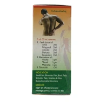 SHREE SHAKTI Shiva Shakti Pain Oil - Shree Shakti - 100Ml