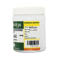 SADVAIDYASALA PRIVATE Madhunashini Churna - Sadvaidya - 100gm