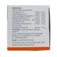 VASU PHARMACEUTICALS Bonton Capsule - Vasu  - 10 Capsules