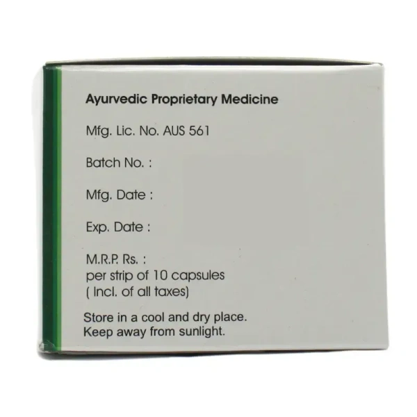 SNEHA NATURA Arshacare Capsule - Sneha Natura - 100 Capsules