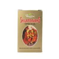 DHOOTAPAPESHWA Shilapravang (Special) - Dhootapapeshwar - 30Tablet