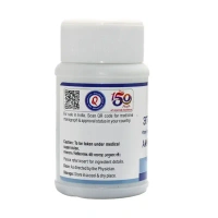 SHREE DHOOTAPAPESHWA Amavatari Rasa Tablet - Shree  - 60 Tablets