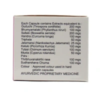 ALOPA HERBAL HEALTHCARE A3 Forte Capsule - Alopa Herbal - 100 Tablet